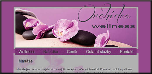 wellnessorchidea.cz